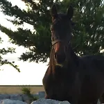 別荘 I Dammusi サンタ・クローチェ・カメリーナ