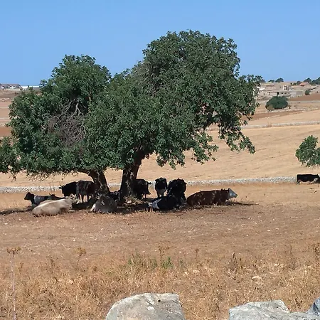 Holiday home I Dammusi